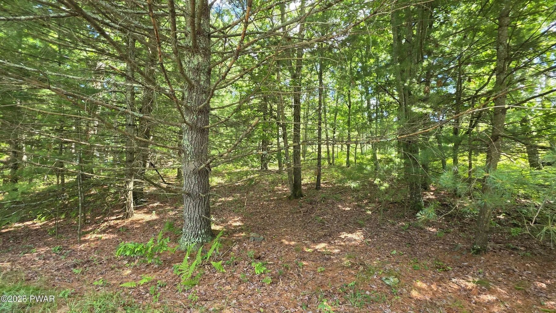 Vacant Land in Dingmans Ferry - Dingmans Ferry, Pennsylvania, 18328