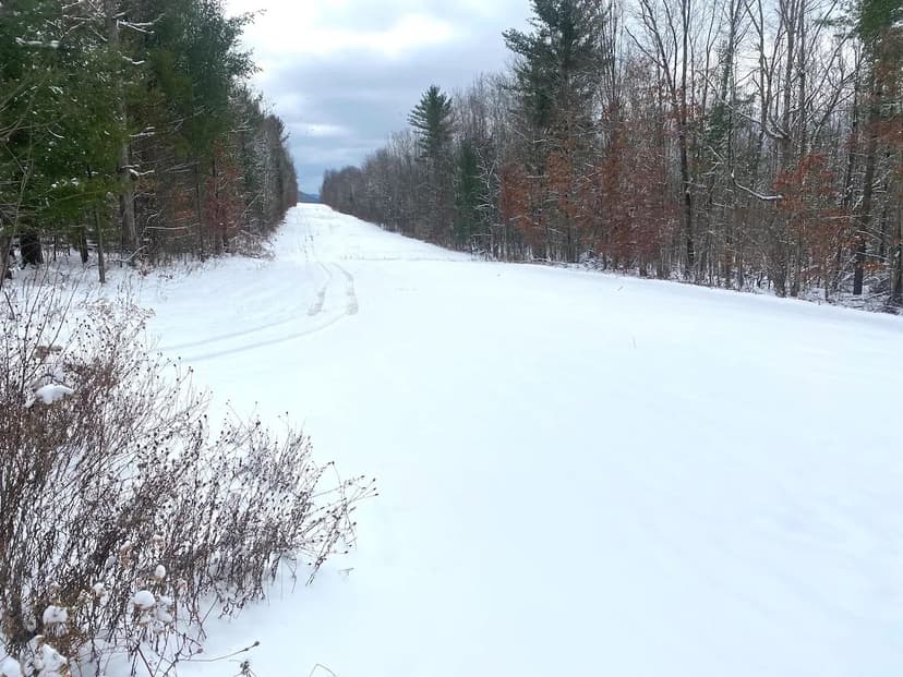 60 acres Hunting Land and Recreational Land in Belmont NY River Road