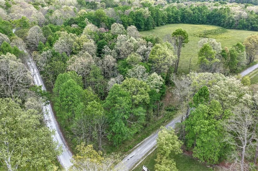 Lots & Land-Other in Allardt