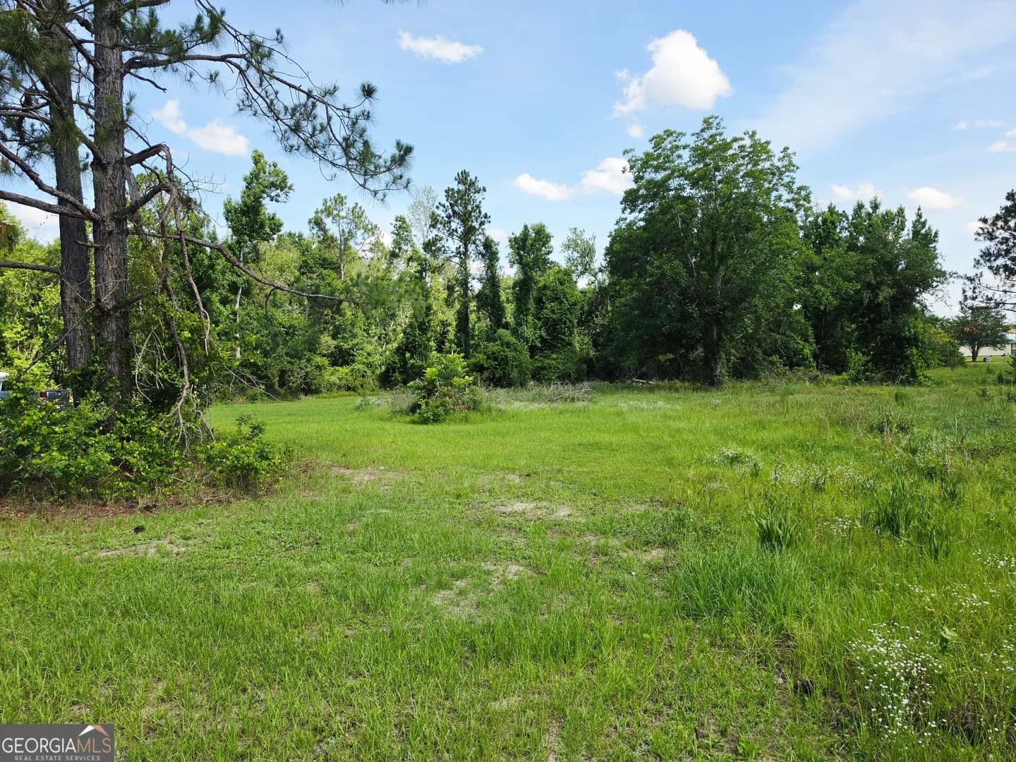 Property from 0 Sawmill - KW - Ailey, Georgia, 30410