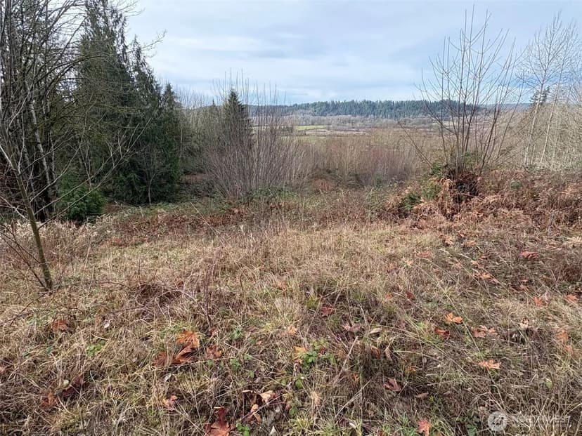 Vacant Land in Carnation