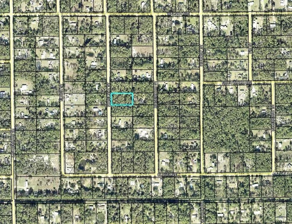 Vacant Land in Bunnell - Bunnell, Florida, 32110