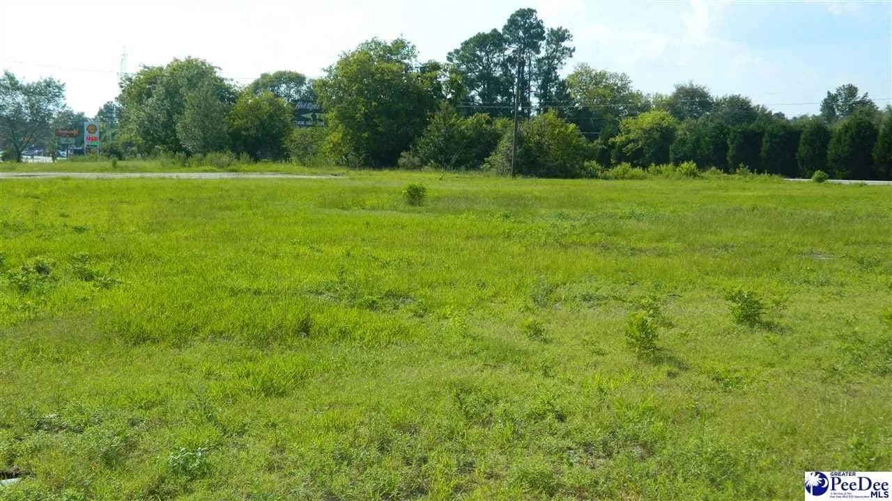 Lots & Land-Other in Marion - Marion, South Carolina, 29571