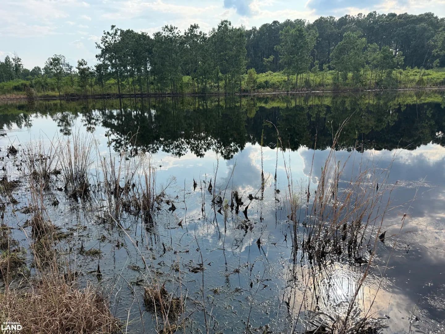 Brooklyn Timberland and Hunting Investment - Evergreen, Alabama, 36401