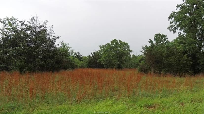 Property from TBD Sue Lane - KW