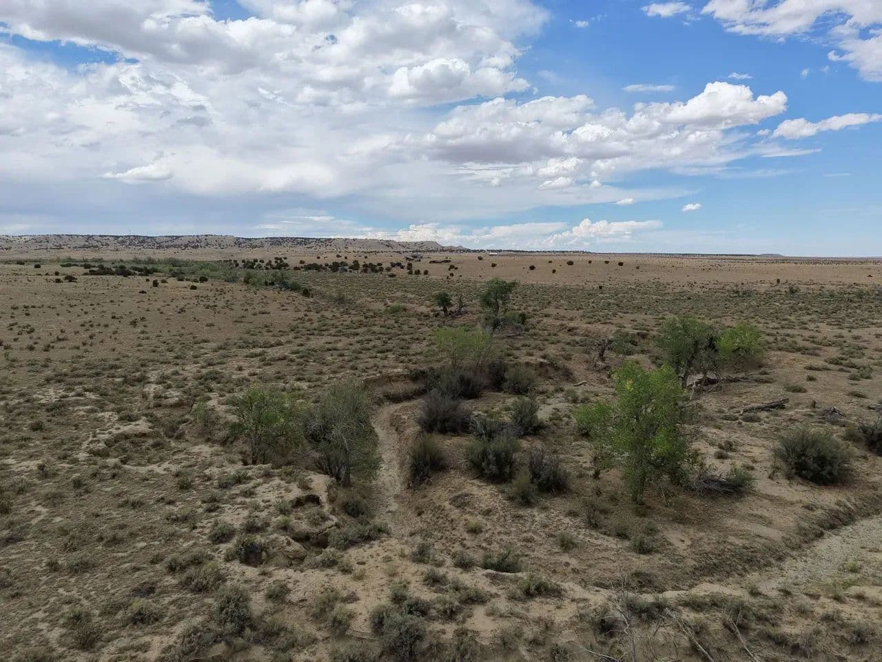 40 Acres Las Animas County - Model, Colorado, 81059