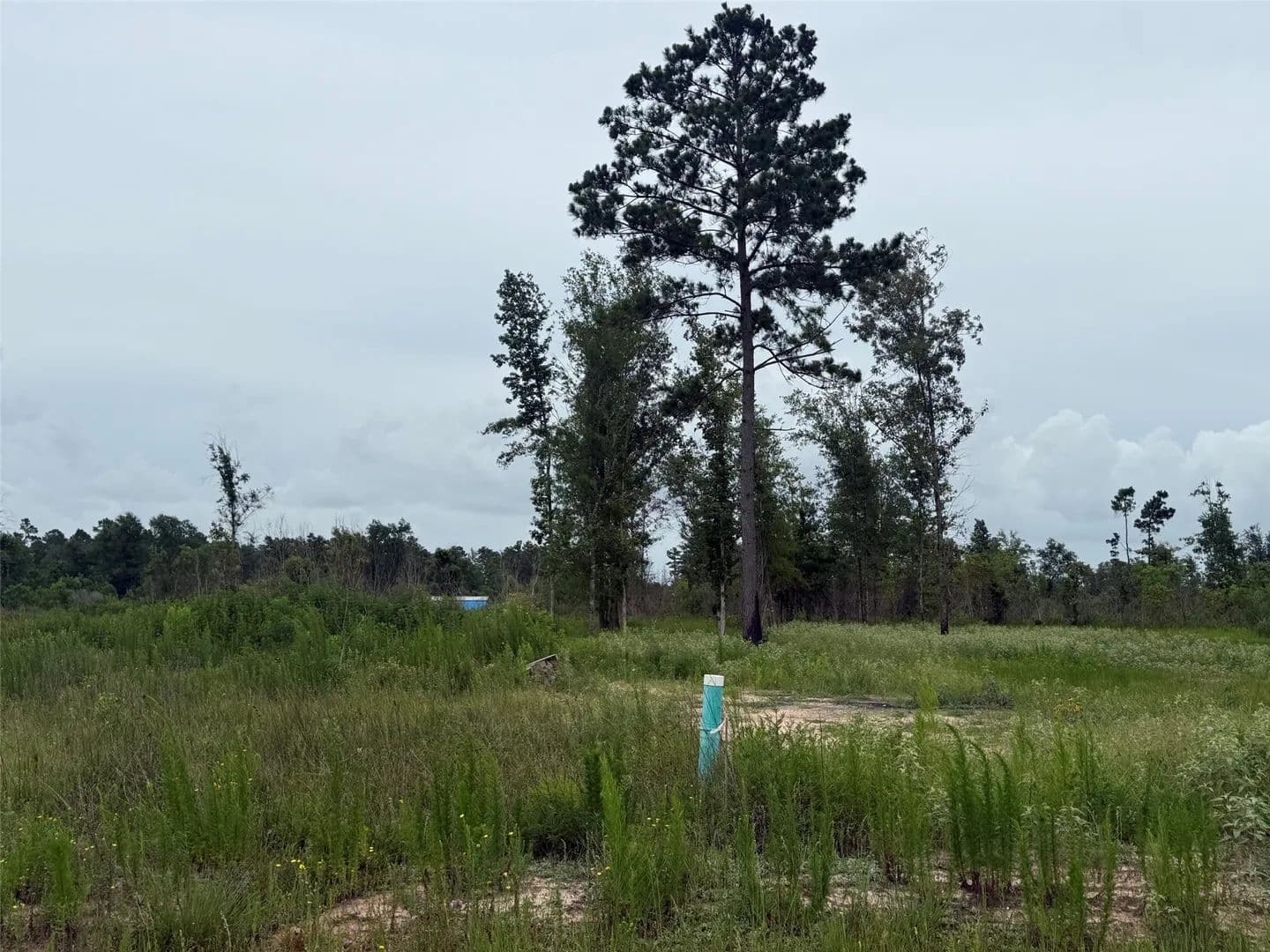 Property from 390 Road 5879 - KW - Cleveland, Texas, 77327