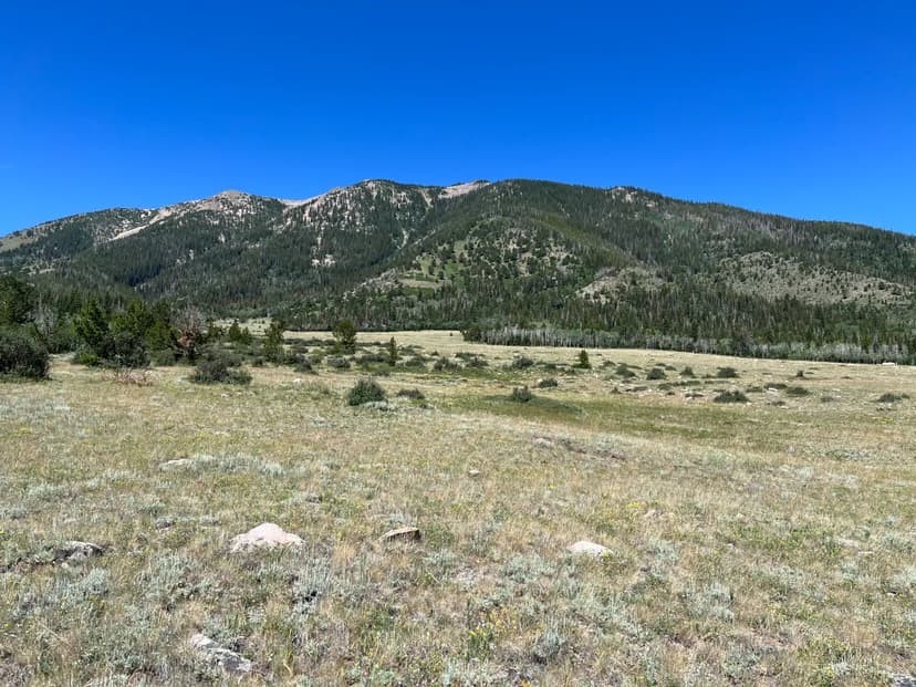 Aspen Highlands Acreage