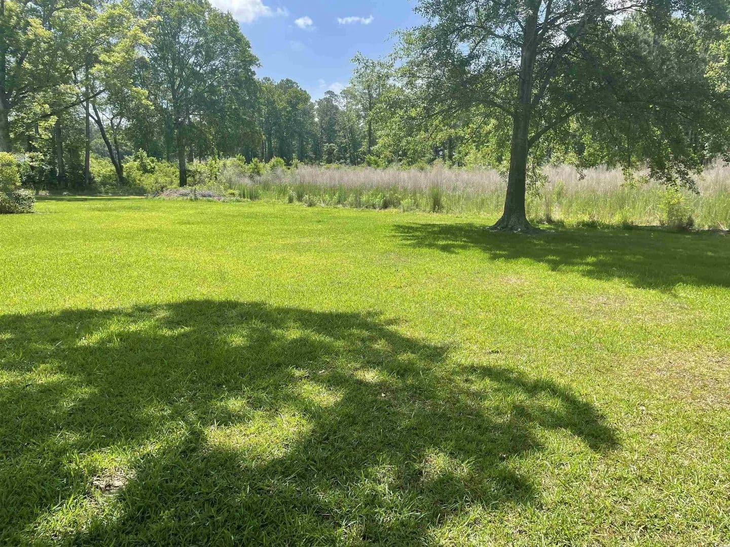 Lots & Land-Other in Loris - Loris, South Carolina, 29569