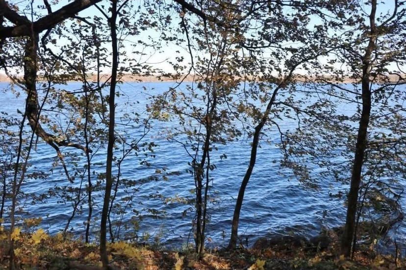 Lots & Land-Other in Alexandria