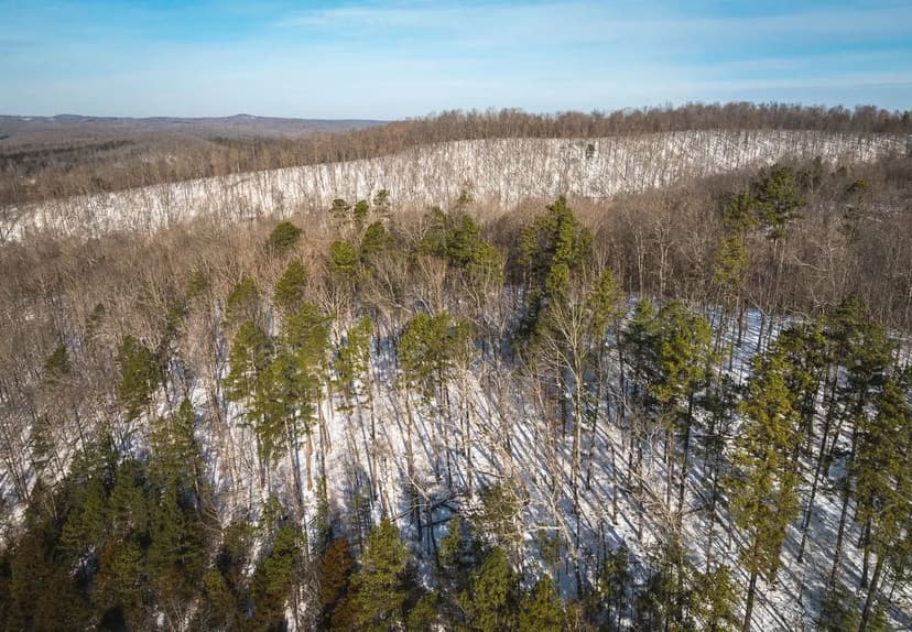 35 Acres Bucks in Black Mo