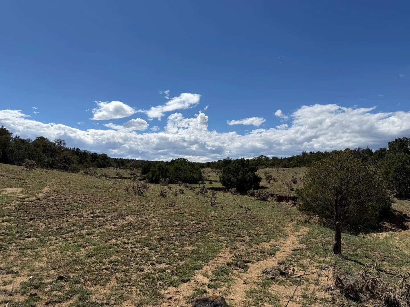  lts81a&101 Twin Lakes Ranch, Walsenburg, CO 81089 - Walsenburg, Colorado, 81089