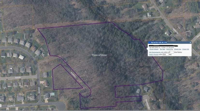 Lots & Land-Other in Endicott