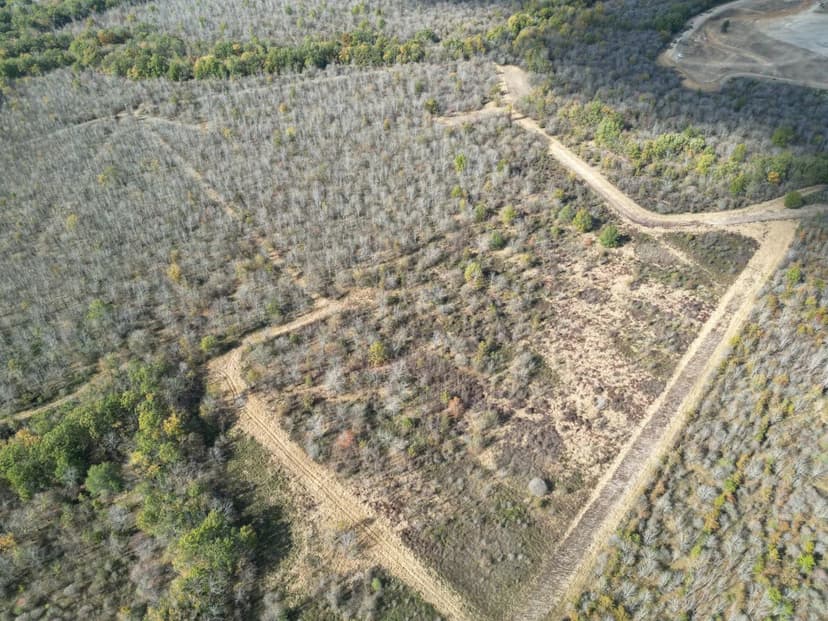 145 Acres in Franklin Parish, LA 