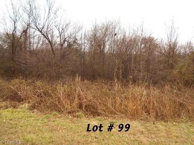 Vacant Land in Eden - Eden, North Carolina, 27288