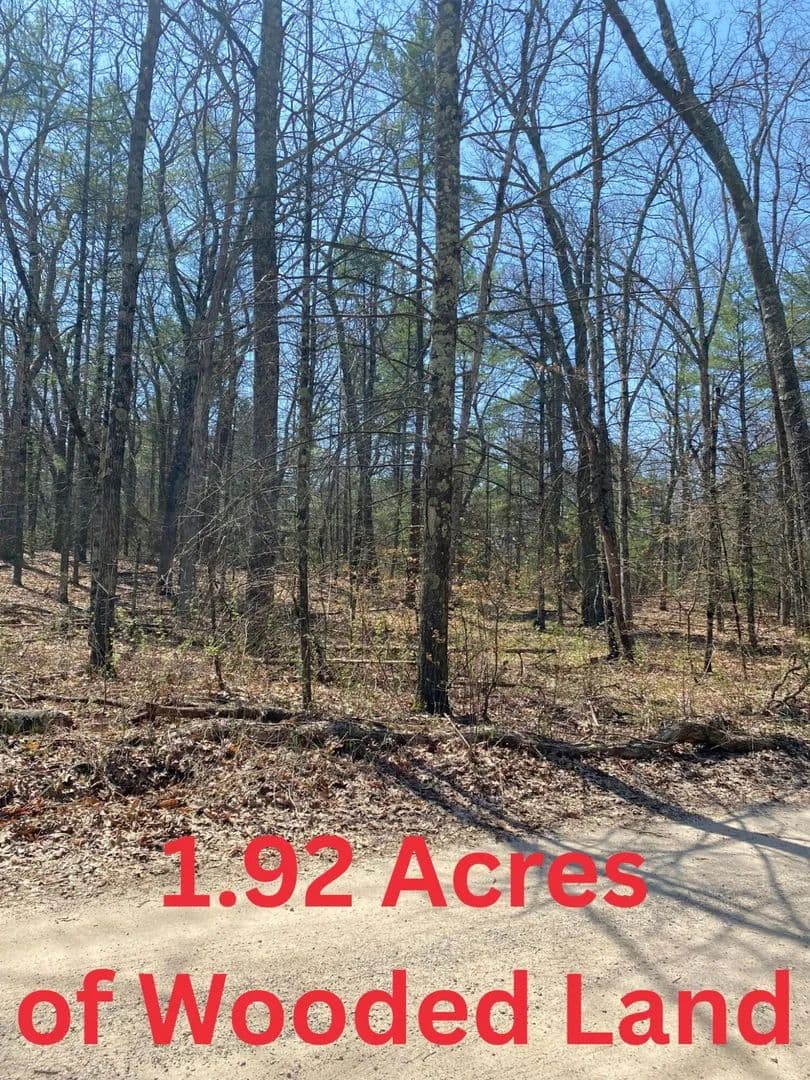 1.93 Acres of Land for Sale in Twin Lake, MI - Twin Lake, Michigan, 49457