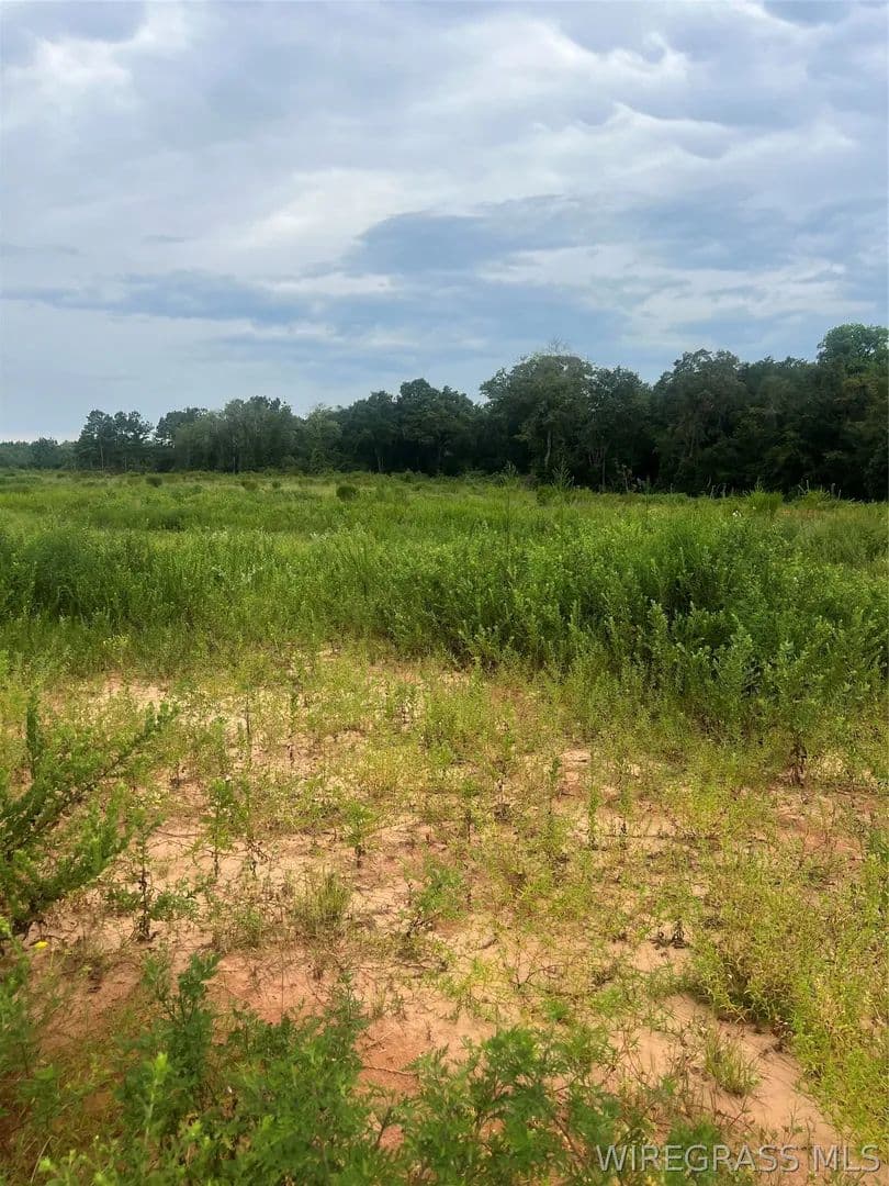 Vacant Land in Enterprise - Enterprise, Alabama, 36330