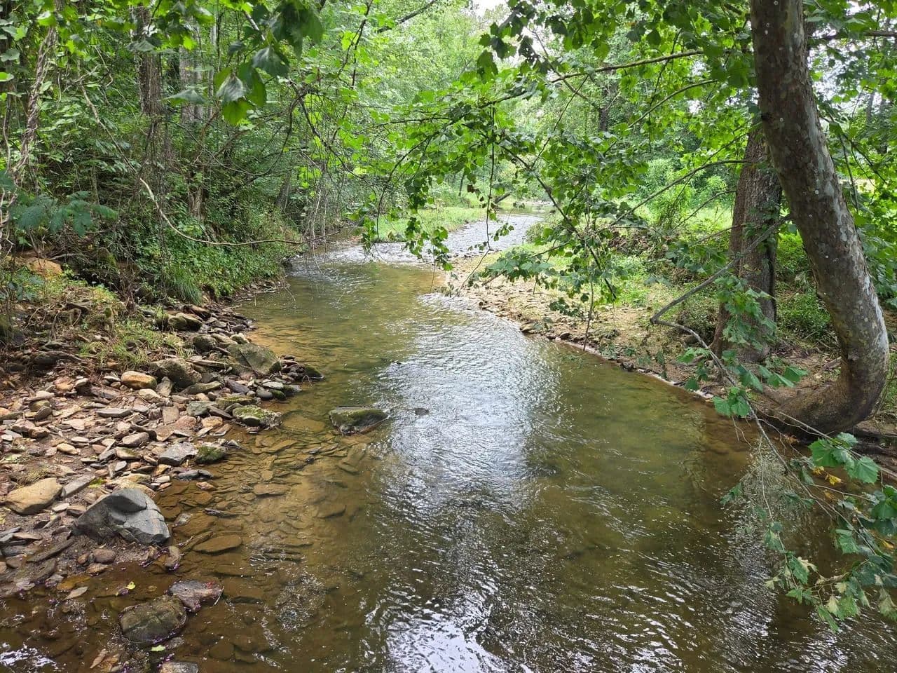 +/-44.63ac - 6059 Mount Zion Rd Ferguson NC - Wilkes Co - Ferguson, North Carolina, 28624