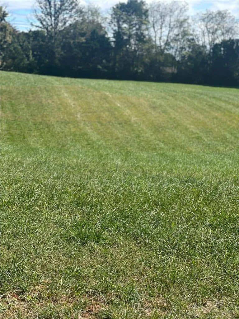 Vacant Land in North Wilkesboro - North Wilkesboro, North Carolina, 28659