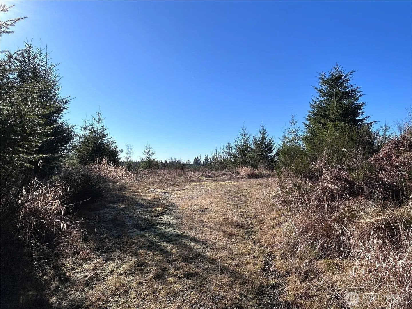 Vacant Land in Toledo - Toledo, Washington, 98591