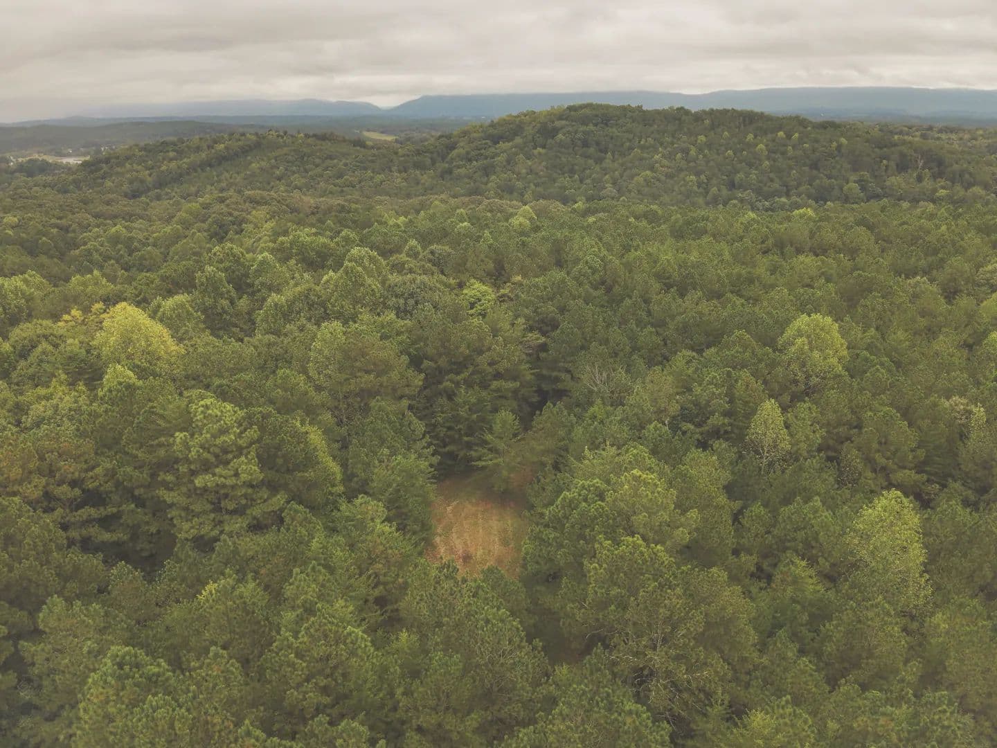 102 Acres in Bradley County, TN - Charleston, Tennessee, 37310