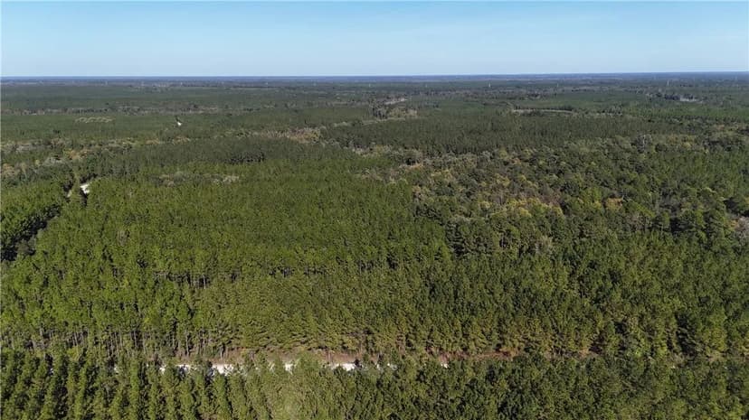 Property from 0 Antioch Cemetery Road - KW