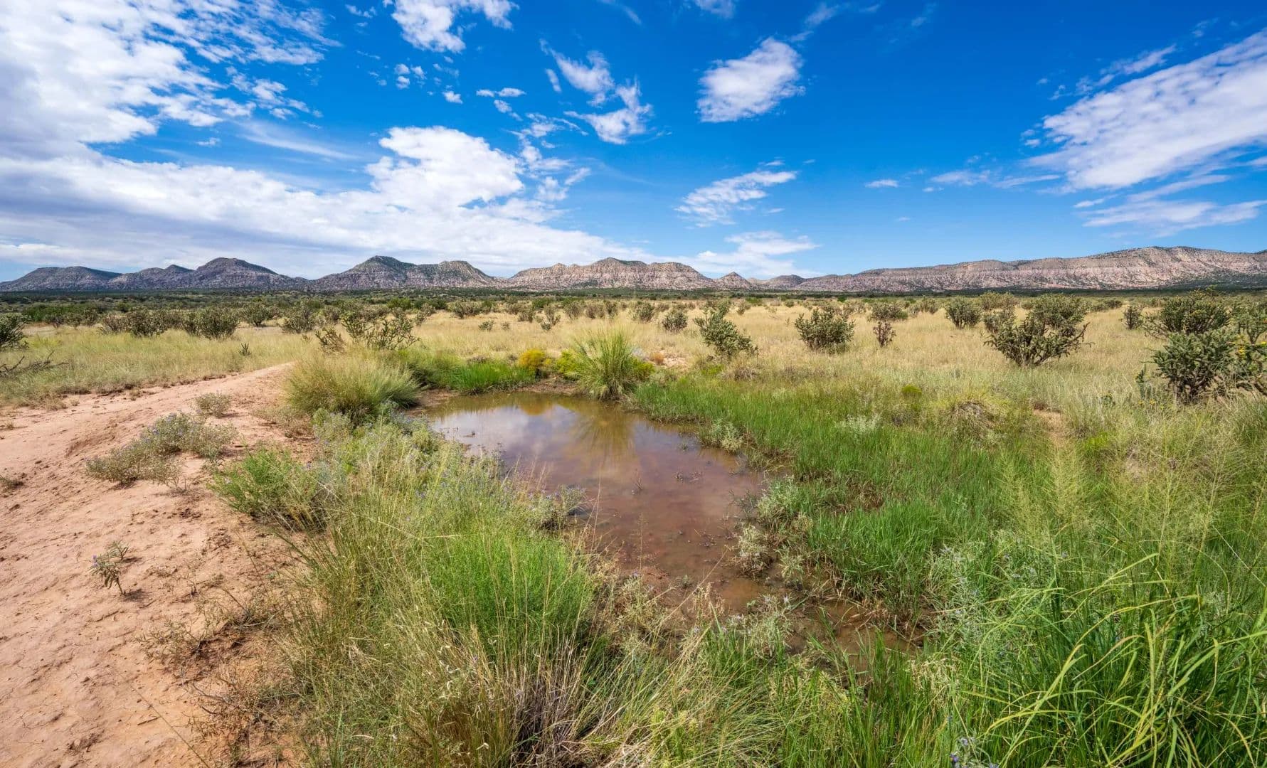 Sierra Larga Ranch - Socorro, New Mexico, 87801