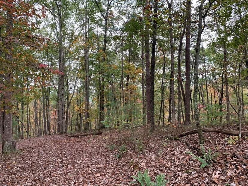 Land -Single Family Acreage in Ranger