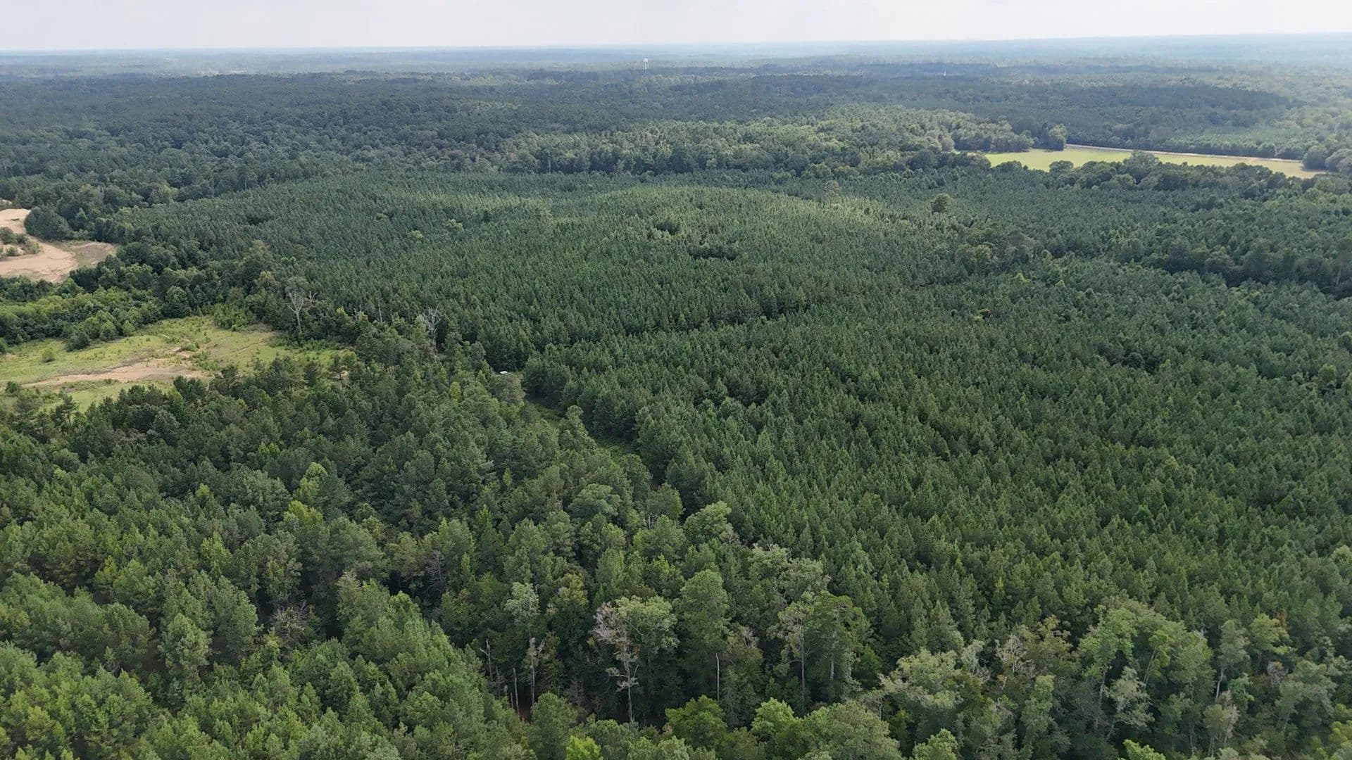 91± Acres of Prime Recreational & Timberland in Lincoln County, MS - Brookhaven, Mississippi, 39601