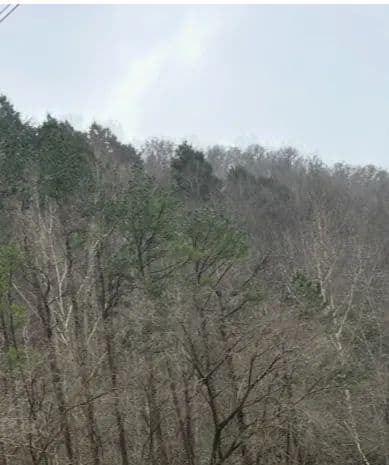 Land -Agricultural (Not Zoned) in LeJunior