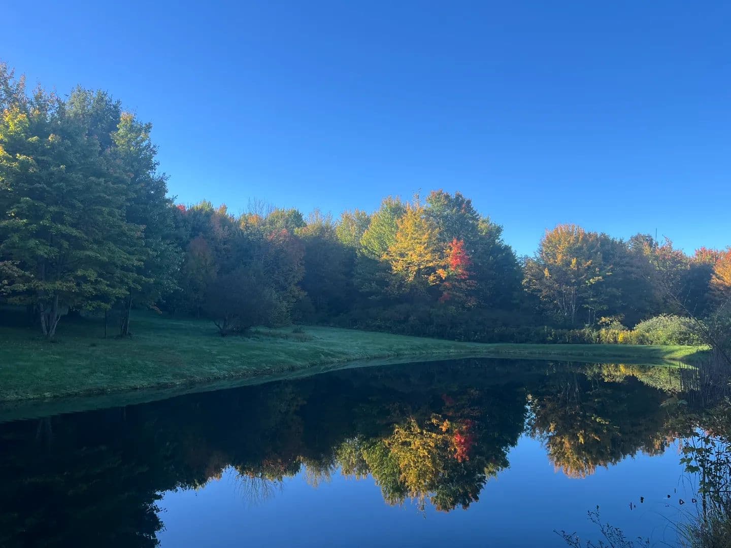 Cabin with 2 Ponds on 18 acres in the Finger Lakes Region in Springwater NY Schribner Rd - Springwater, New York, 14560