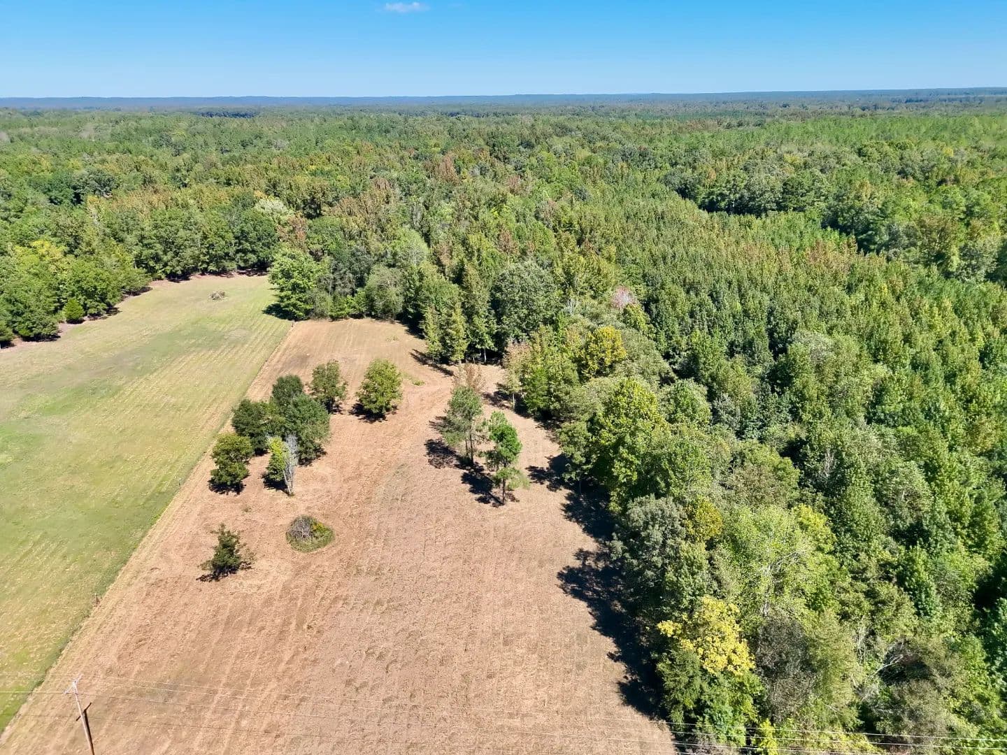 12.63 Acres in Hardeman County, TN - Middleton, Tennessee, 38052