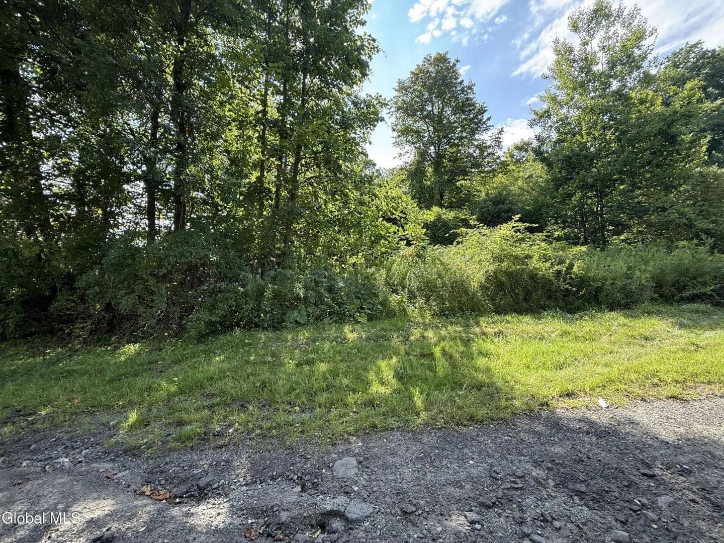 Land -Single Family Acreage in Gloversville - Gloversville, New York, 12078
