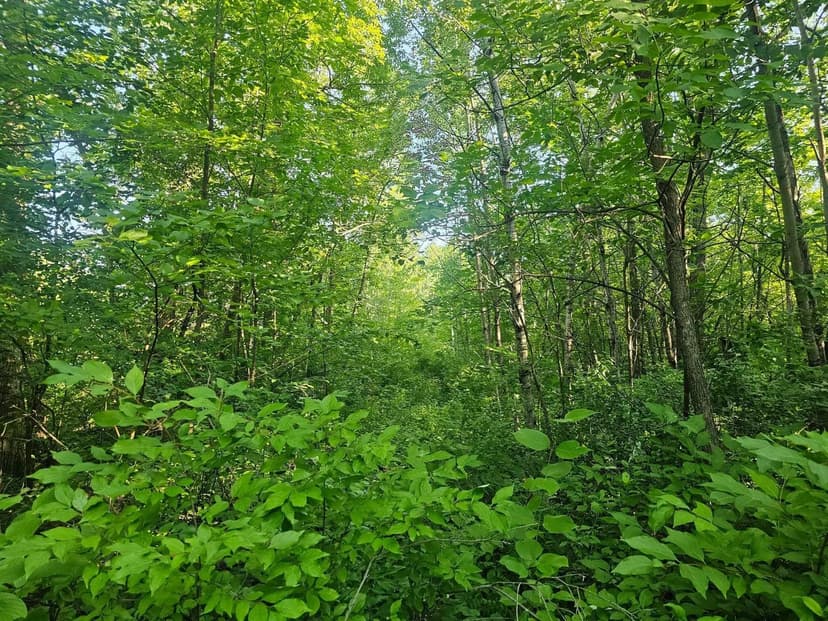 Vacant Land in Crosby