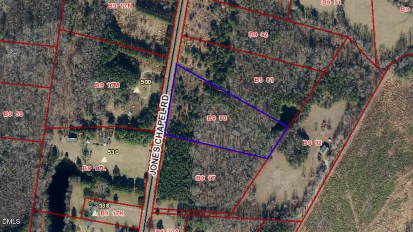 Property from Tract 2 Jones Chapel Road - KW