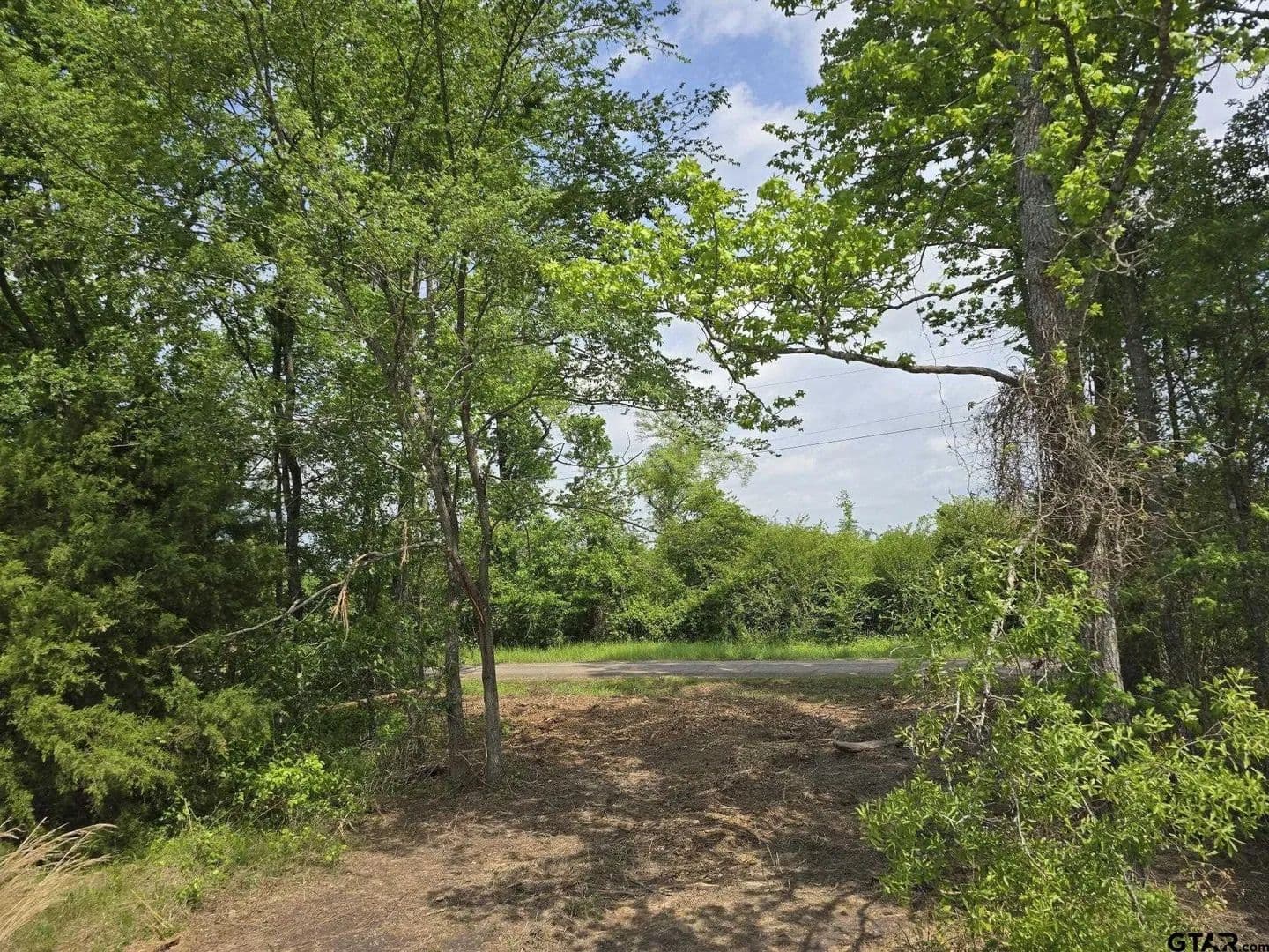 Lots & Land-Other in Naples - Naples, Texas, 75568