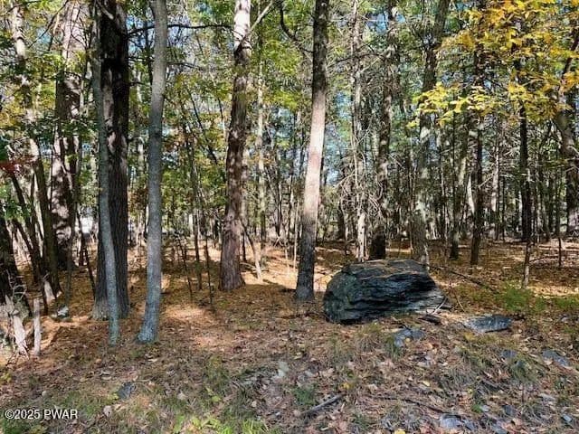 Vacant Land in Dingmans Ferry - Dingmans Ferry, Pennsylvania, 18328
