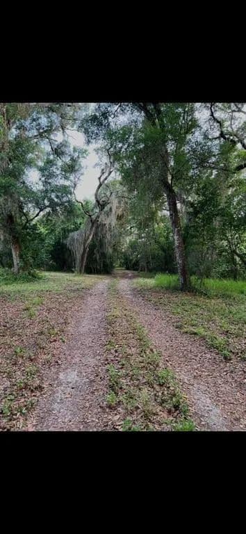 Vacant Land in Spring Hill - Spring Hill, Florida, 34610