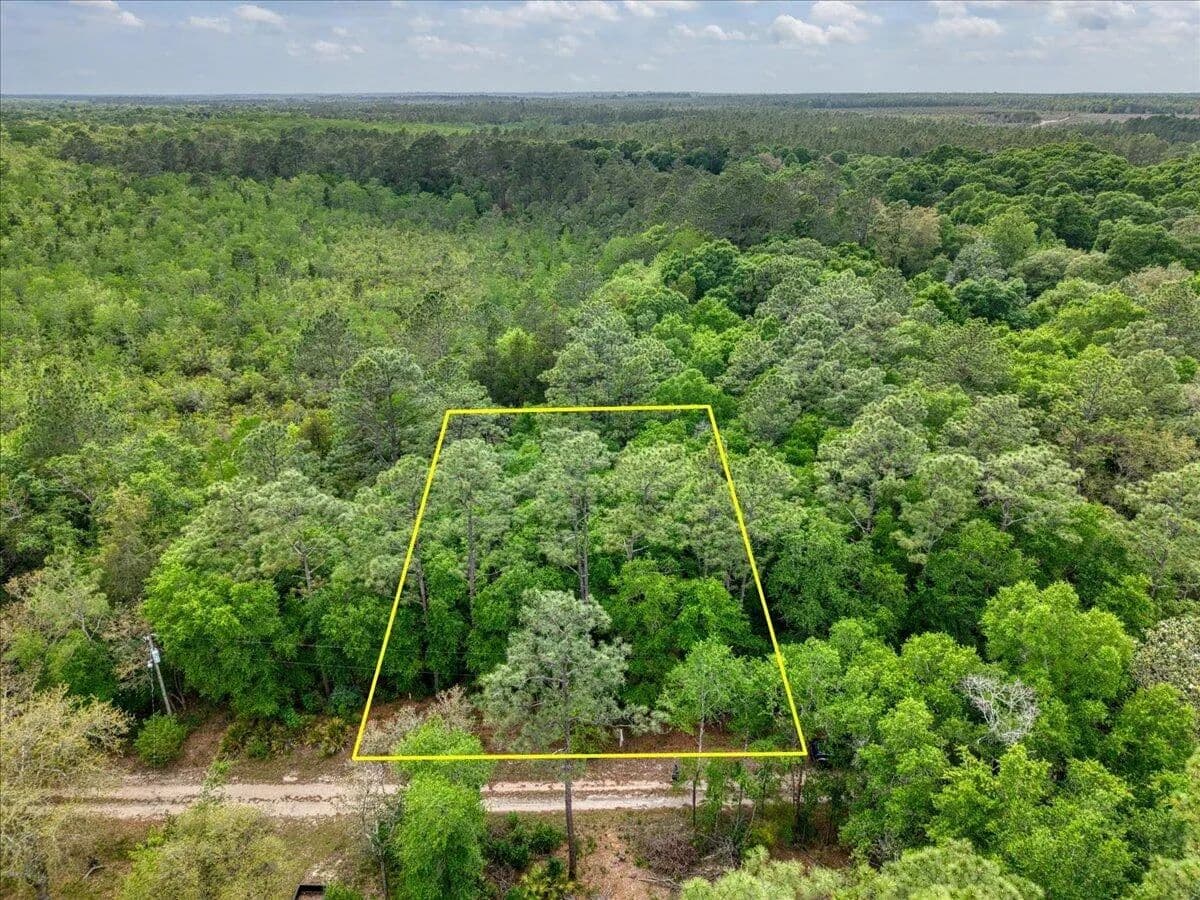 Vacant Land in Harold - Harold, Florida, 32563