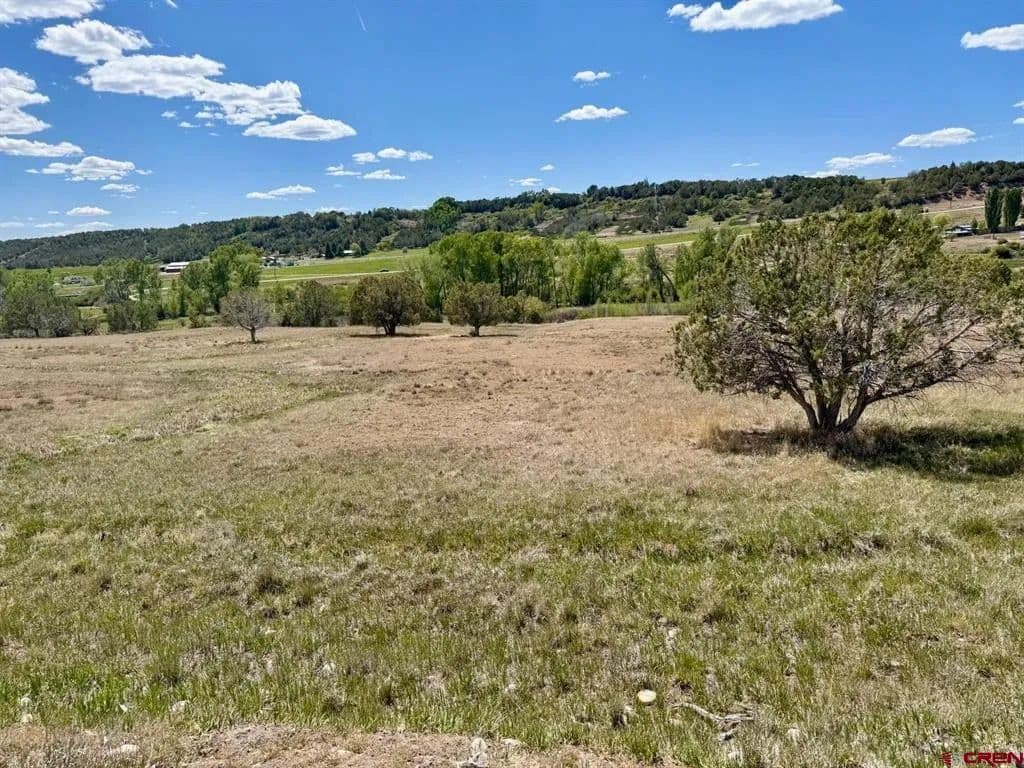 Property from 1424 Wrangler Way - KW - Durango, Colorado, 81303