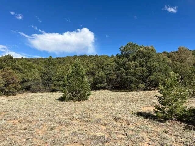 96 River Ridge Ranch, Walsenburg, CO 81089 - Walsenburg, Colorado, 81089