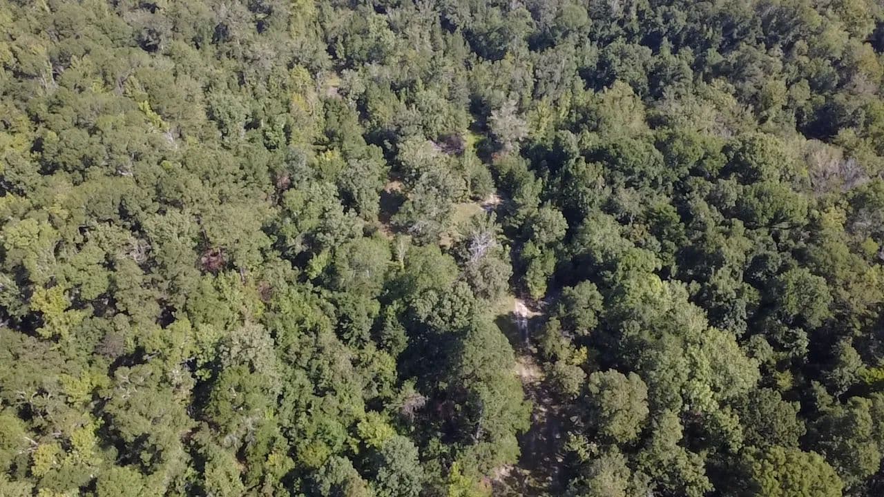 81.42 Acres in Johnson County, GA  - Kite, Georgia, 31049