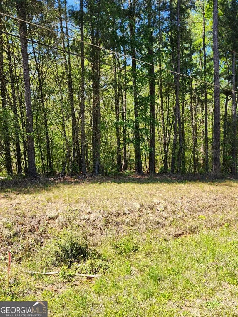 Vacant Land in Covington - Covington, Georgia, 30016