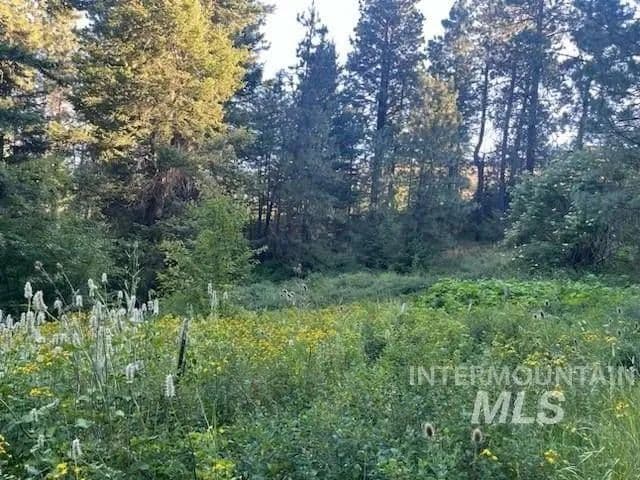 Lots & Land-Other in Lewiston - Lewiston, Idaho, 83501