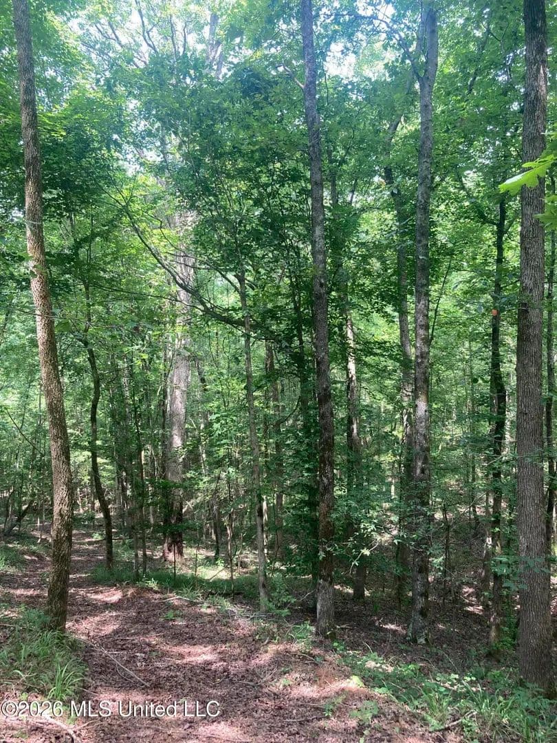 Property from Ms-149 - KW - Braxton, Mississippi, 39044