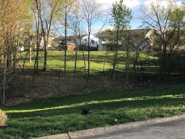 Lots & Land-Other in Huntington - Huntington, West Virginia, 25705