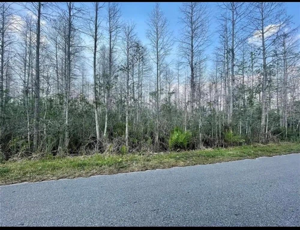 Vacant Land in St Cloud - Florida, 34773