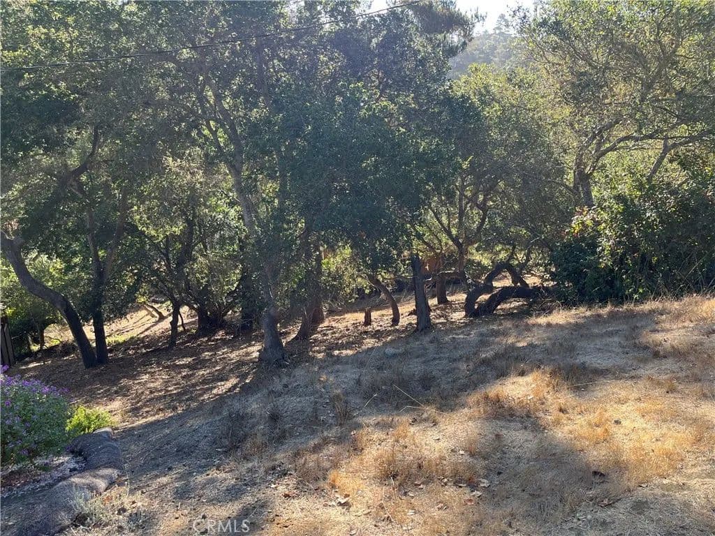 Vacant Land in Cambria - Cambria, California, 93428