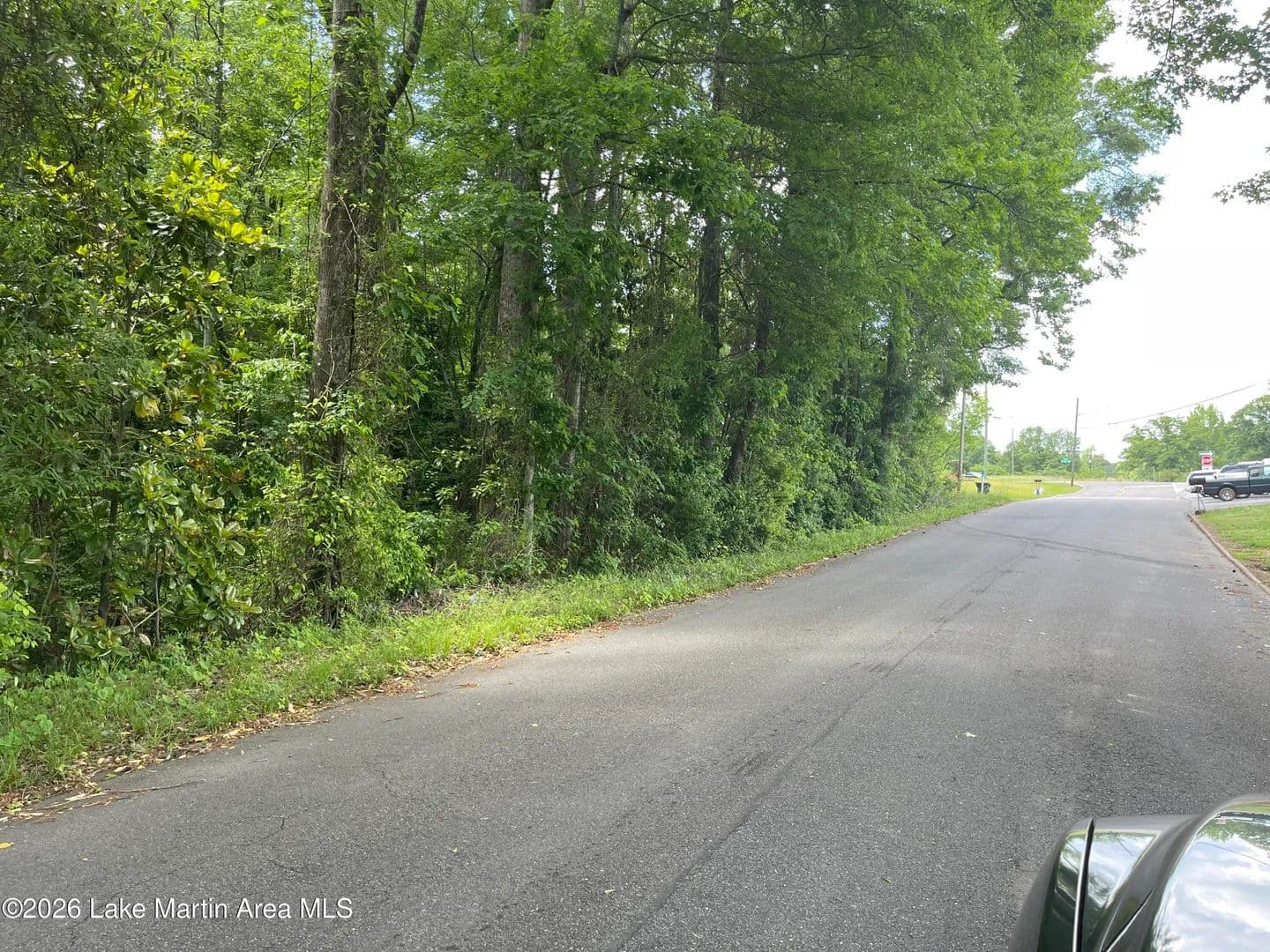 Property from Glenwood Rd - KW - Alexander City, Alabama, 35010