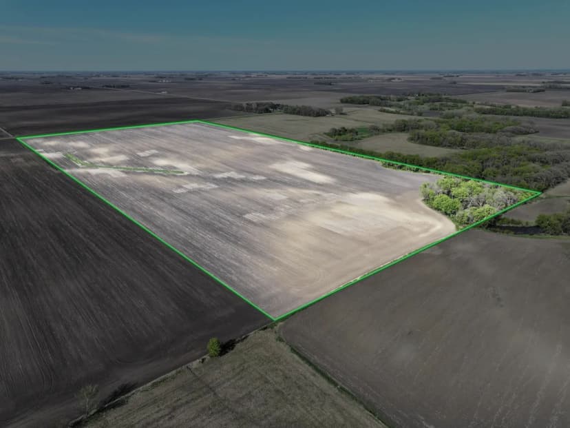 311.73± ACRES Farm Auction Martin County Parcel 3